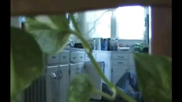 Σεξ χωρίς εγγραφή  Λιλιάνα σεξ με γριεσ βιντεο Μορένο