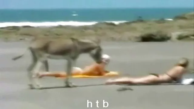 Σεξ χωρίς εγγραφή  Busty γκόμενες γάμα λεσβιεσ βιντεο σεξ με έναν άντρα